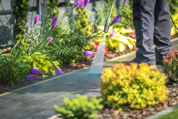 Best Factory Floor Cleaning  in Chicopee, MA